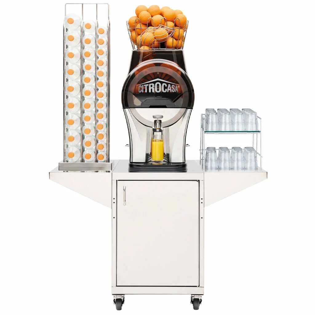 Fantastic EVO - Image 4